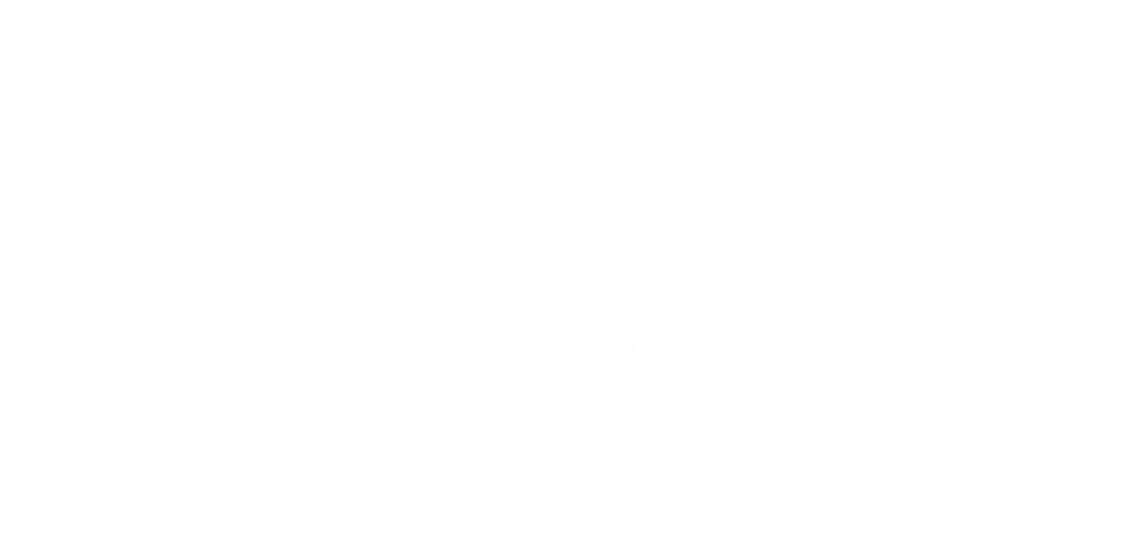 Edon & Musica Ltda